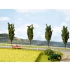Natur+ "Rapeseed Field" (220 x 200 mm, 10 grass tufts)