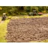 Natur+ "Arable Land" (210 x 190 mm, w/10 grass tufts)