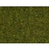 Scatter Grass "Meadow" (length: 2.5 mm, 120g)