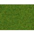 Scatter Grass "Ornamental Lawn" (length: 1.5 mm, 20g)