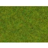 Scatter Grass "Spring Meadow" (length: 2.5 mm, 20g)