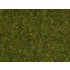 Scatter Grass "Meadow" (length: 2.5 mm, 20g)