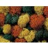 Lichen (autumn mix, 35g) For G,O,HO,HOE,HOM,TT,N,Z Scale