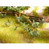 HO Scale Field and Wild Flowers (17 plants)