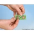 HO Scale Water Smartweed (20 plants)