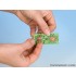 N Scale Reed (16 plants)
