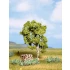 HO,TT,N Scale Birch Tree (Height: 115mm)