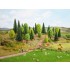 HO, TT Scale Mixed Forest (25 trees. 5 - 14cm)
