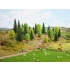HO, TT Scale Mixed Forest (25 trees. 5 - 14cm)
