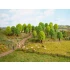 N, Z Scale Deciduous Trees (25pcs, 3.5 - 5cm)