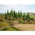 N, Z Scale Model Spruce Trees (25pcs, 3.5 - 9cm)