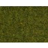 HO, O, N Scale Scatter Grass "Meadow" (Length: 2.5m, 100g)
