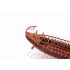 1/200 Athenian Trireme (5th Century BC) with 16 Figures [First Edition]