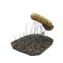 1/144 Parseval-Sigsfeld 'Drachen' Observation Balloon with 40 Corps
