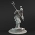 75mm Scale Varese Guardsman 12th Century