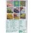 1/35 Jungle C - Paper Plant kit