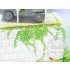 1/35 Ivy - Paper Plant kit