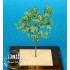 1/48 Lime Tree - Paper Plant kit