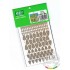 Filicales for All scale - Paper Plant kit
