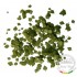 1/35 Green Leaves - Linden