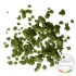 1/35 Green Leaves - Linden