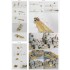 1/200 USS BB-63 Missouri 1945 Detail set for Trumpeter (Teak Tone Wood Deck+PE+Barrels...)