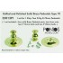 Buffed and Polished Solid Brass Pedestals Type 70 for 1/350 or Larger Ship models