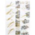 1/350 USS CA-35 Indianapolis 1945 Detail-up set for Academy kit