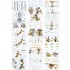1/350 USS DDG-98 Forrest Sherman Flight IIA Detail-up Set for Trumpeter #04528