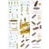 1/350 USS Missouri Circa 1991 Detail Up Sets "Advanced"