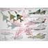 1/48 Mikoyan-Gurevich MiG-21 Fishbed Decals