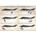 1/48 Lockheed F-117 Nighthawk Decals Part 1