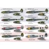 1/72 Lockheed P-38 Lightning Decals