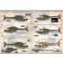 1/72 Kiowa Helicopter Decals