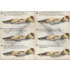 1/72 Wet Decals -  Iranian Air Force McDonnell Douglas F-4 Phantom II