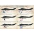 1/72 Wet Decals - Lockheed F-117 Nighthawk