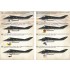 1/72 Wet Decals - Lockheed F-117 Nighthawk