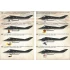 1/72 Wet Decals - Lockheed F-117 Nighthawk
