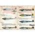 Decals for 1/72 Petlyakov Pe-2