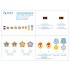 1/10 Soviet Navy Orders And Badges 1942-1945 3D Decal