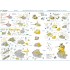 1/700 IJN Battleship ISE/Hyuga Class 1941/1942 Upgrade Set for Hasegawa kit No.117/118