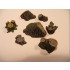 1/35, 1/48 Tree Stumps & Mushrooms Set (14x Tree Stumps & 6x Mushrooms)