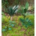 1/48 - 1/35 Jungle Plants Vol.2 (4 different plants)