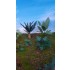 1/48 - 1/35 Jungle Plants Vol.2 (4 different plants)