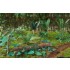 1/48 - 1/35 Jungle Plants Vol.4 (4 different plants)
