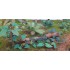1/48 - 1/35 Jungle Plants Vol.4 (4 different plants)
