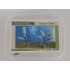 1/48 - 1/35 Banana Trees (2pcs)