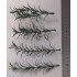 1/35 - 1/16 Plastic Plants - Small Weeds Dark Green