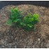 1/35 - 1/16 Plastic Plants - Wild Bushes Medium/Light Green (10pcs)