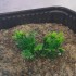 1/35 - 1/16 Plastic Plants - Wild Bushes Medium/Light Green (10pcs)